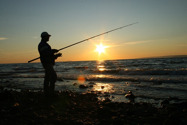 fishing, coast, ocean